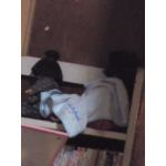userPhoto
