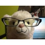 alpaca