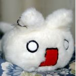 沙上笹見