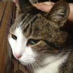 れお