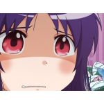 鶺鴒(てぃんてぃん)