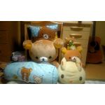 userPhoto