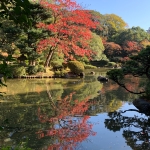 userPhoto