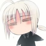 衝撃のマーボー