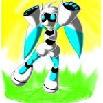 ふぶきん
