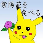 負け猫