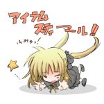 hayami