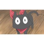 フチガミ