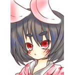 プカ