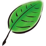 陽葉月【ようはづき】