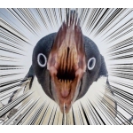 えるべ