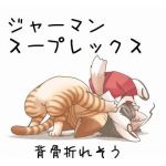 仮面なKAITO