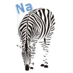 Natrium
