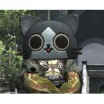 Kitton