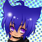 Jazz猫