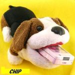 chip
