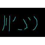 userPhoto