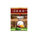流璃歌