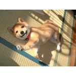 S郎