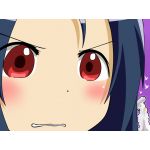 幼稚園中退