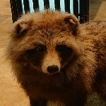 userPhoto