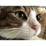 userPhoto