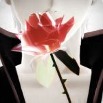 あや