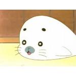 右アシベ