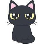 くる猫