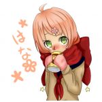 ✿はな✿