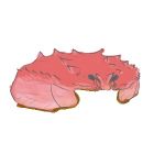 はねも