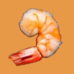 ふわふわなエビ