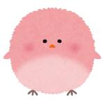 とりのこ