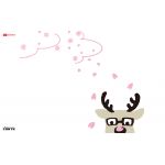 Lycoris