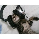 黒猫職人