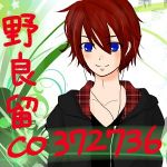 野良留