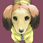 そうふらび