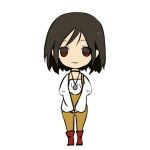 かなもえ