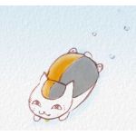 新しい私