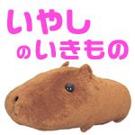 さるばど