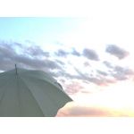 userPhoto