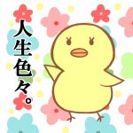 かしわ