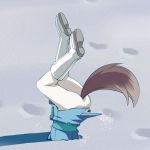 羽のついたカヤック