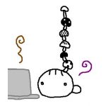 きのこ