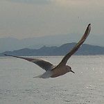 つーじー
