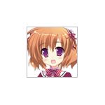 tomo