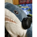 ぐっちゃん