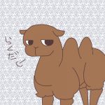 マジ吉