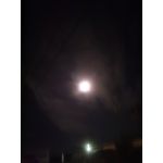 つきみ