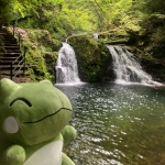 おにび